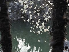 -何园