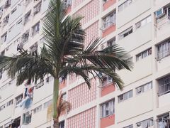 -彩虹村