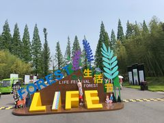 -黄海国家森林公园