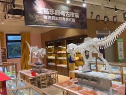 -宝燕乐园(闵行旗舰店)