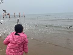 -老虎石海上公园