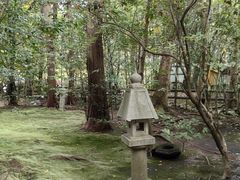 -野宫神社