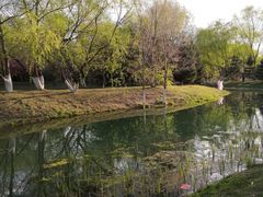 -长白岛森林公园