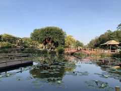 -广州莲花山旅游区