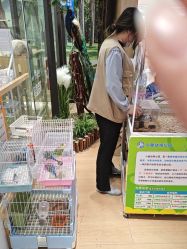 -小象动悟公园(龙湖亦庄天街店)