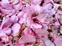 -苏州河梦清园环保主题公园