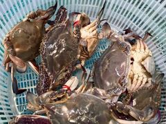 -渔民船说·北塘海鲜·天津菜·海肠捞饭(北塘古镇店)