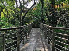 -杭州半山国家森林公园