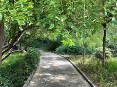 -洛阳市牡丹公园
