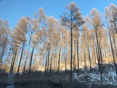 -塞罕坝国家级自然保护区