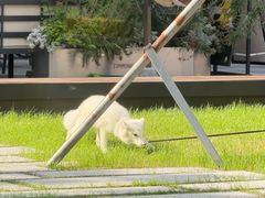 -苏州河梦清园环保主题公园