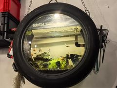 -陶野咖啡·面包披萨