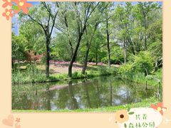 -上海共青森林公园