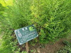-广西壮族自治区药用植物园
