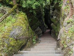 -梭布垭石林景区