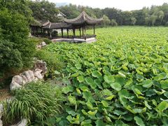 -高子水居