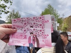 -茄子恰恰·新云南小炒(金池购物中心店)