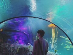 -沈阳海洋探索中心