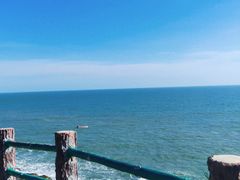 -广东惠东海龟国家级自然保护区