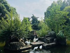 -东湖落雁景区