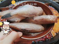 -肥龙火锅(南坪店)