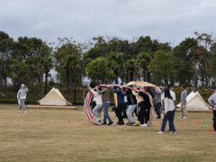 -春花秋色城市公园