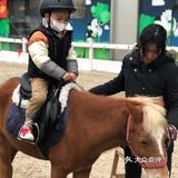 128元享圣诞户外遛娃体验