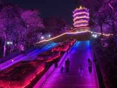 -福神岗公园