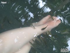 -三亚珠江南田温泉度假区
