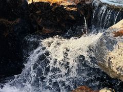 -白水寺森林公园