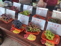 -马陆小张葡萄园农家乐