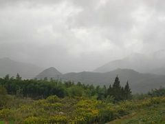 -江南天池