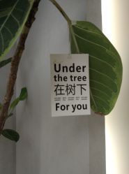 -颜蕾医美·黄金微针·水光·玻尿酸·超声炮·抗衰中心