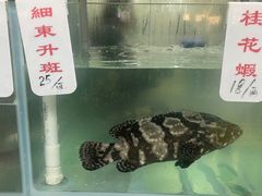 -师傅仔美食(东华老店)