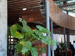 大堂-Magnet磁食(同德店)