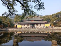 -阿育王寺