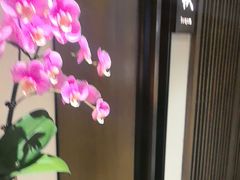 -花锦堂·隐庐