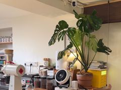 -本無咖啡·BeanWood Coffee