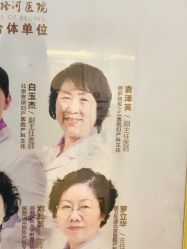 -北京安琪