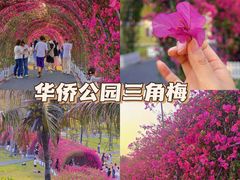 -华侨公园