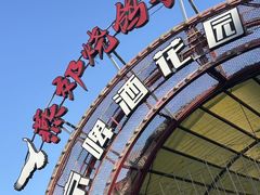 -燕郊烧鸽子(酷车小镇店)