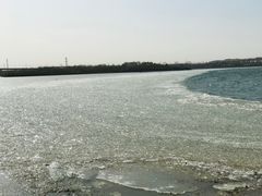 -丁香湖公园