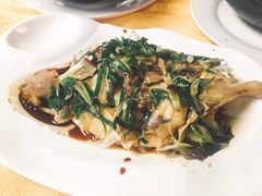 -鸽王世家(东华东路店)