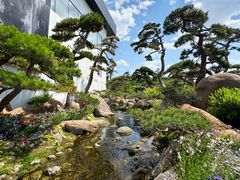 -罗红摄影艺术馆