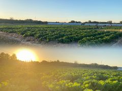 -瀛海足球主题公园