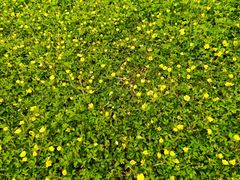 -天津东丽湖风景区