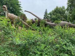 -自贡恐龙博物馆