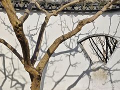 -上海醉白池公园