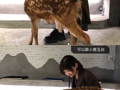 -浣熊柯尔鸭土拨鼠·电玩咖