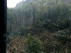 -塔川景区
